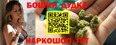 гидропоника Владикавказ