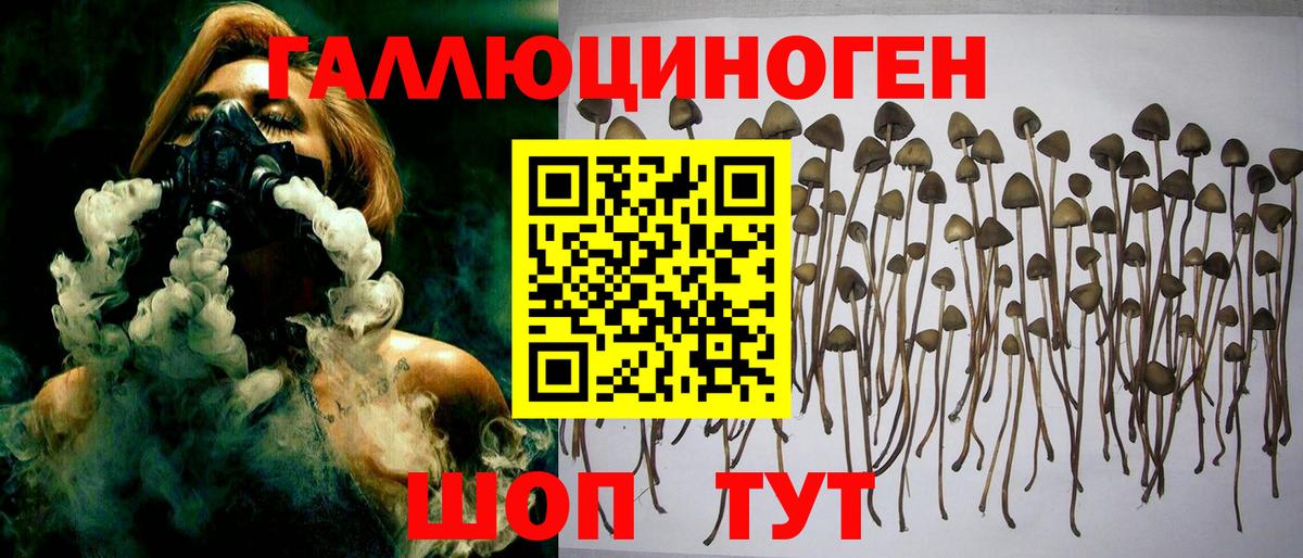 Псилоцибиновые грибы прущие грибы Великие Луки